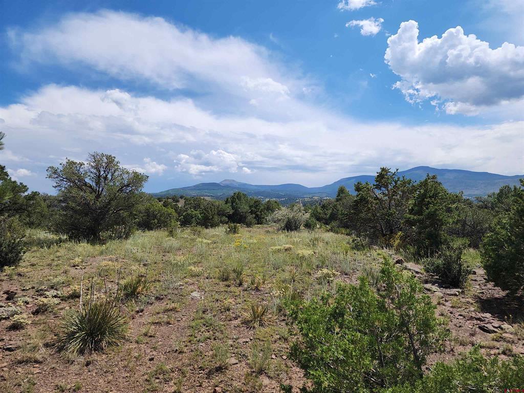 374 Cactus Road Property Photo 13