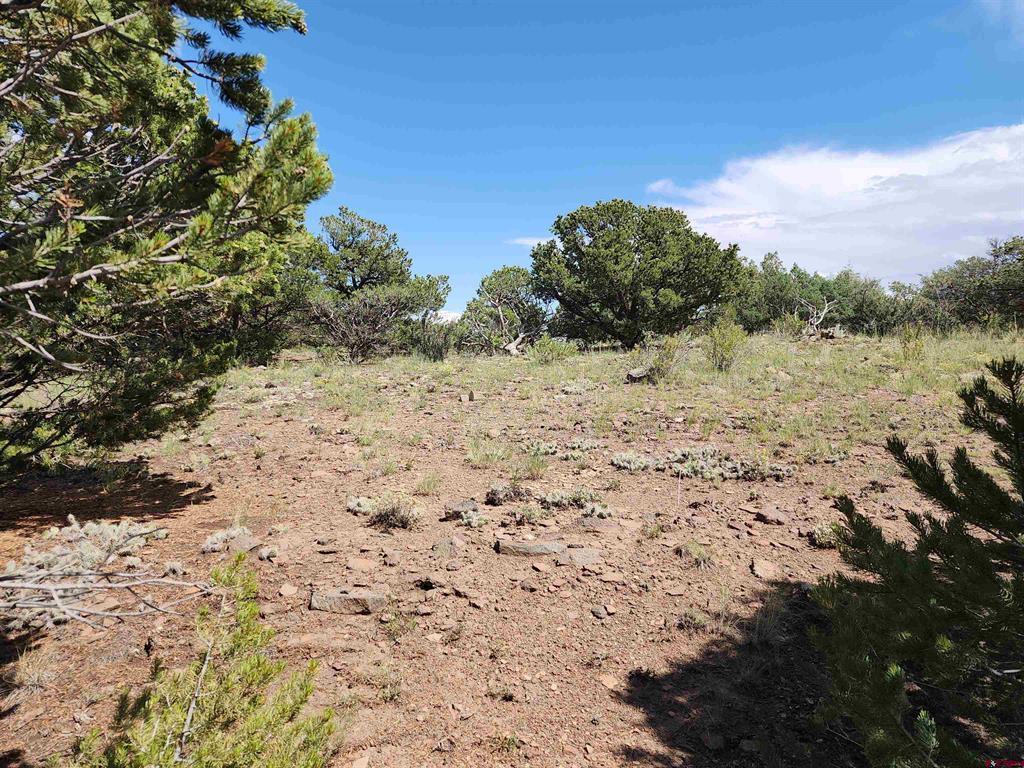 374 Cactus Road Property Photo 14