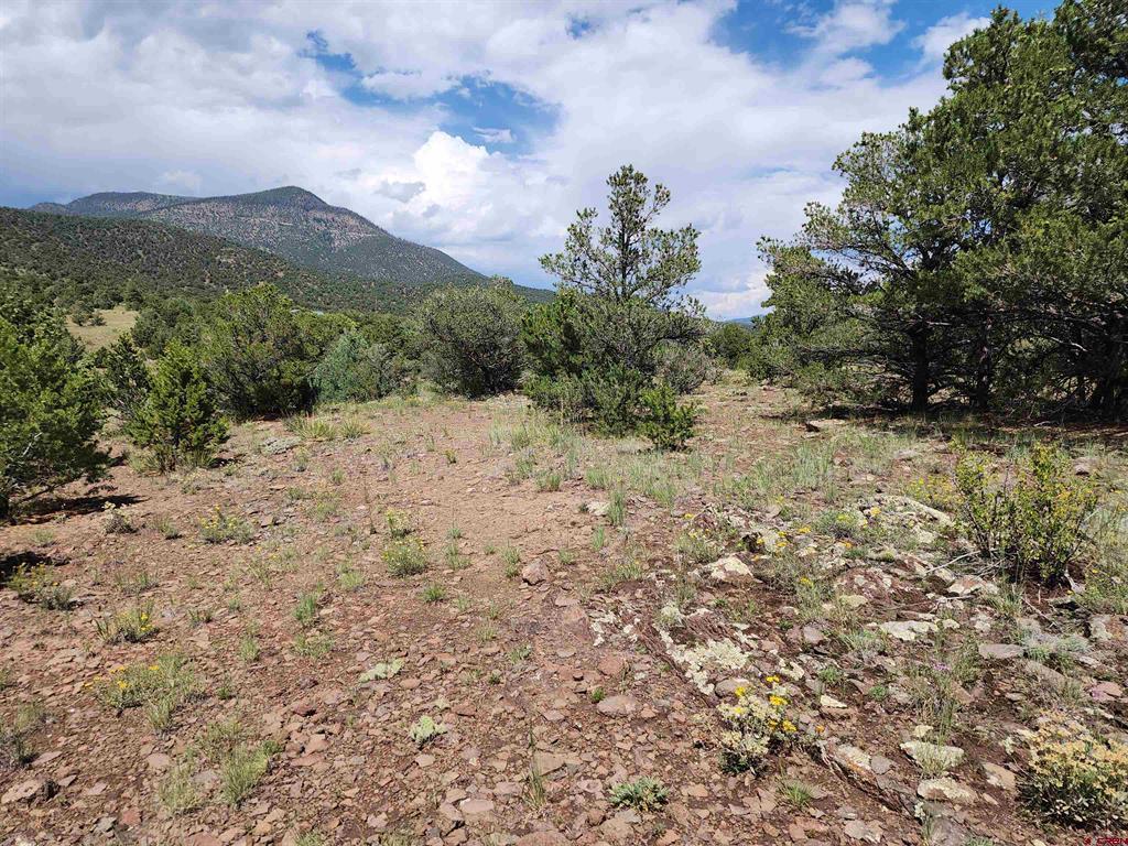 374 Cactus Road Property Photo 15