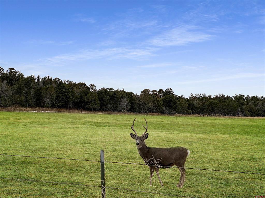 1830 Black Canyon Road Property Photo 44