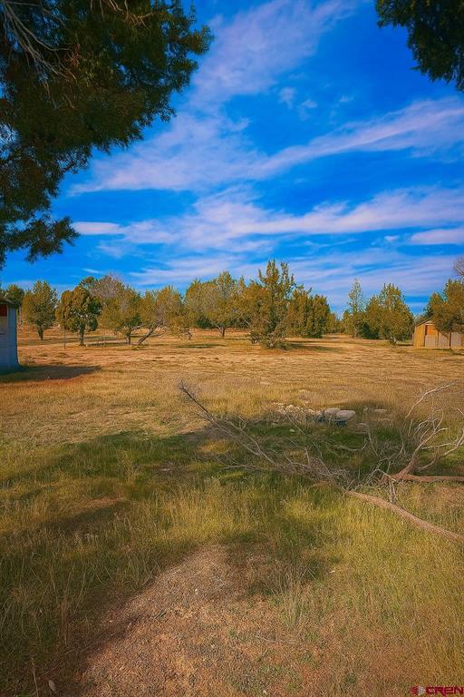 21769 Road V Property Photo 7