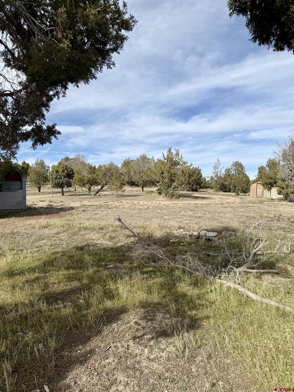 21769 Road V Property Photo 11