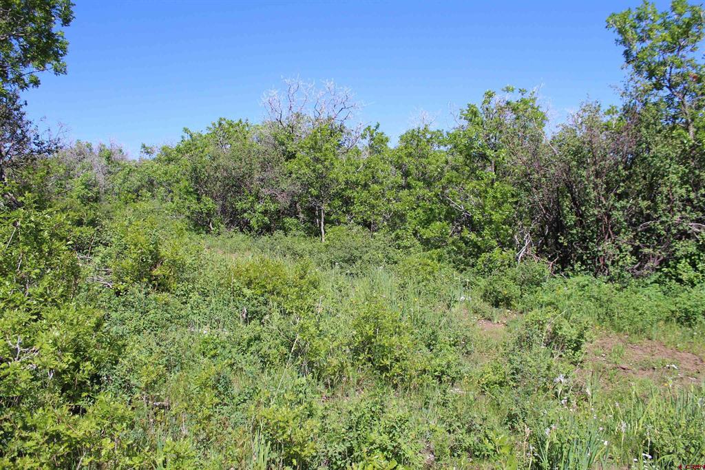 Unit 13 West Elk View Property Photo 23