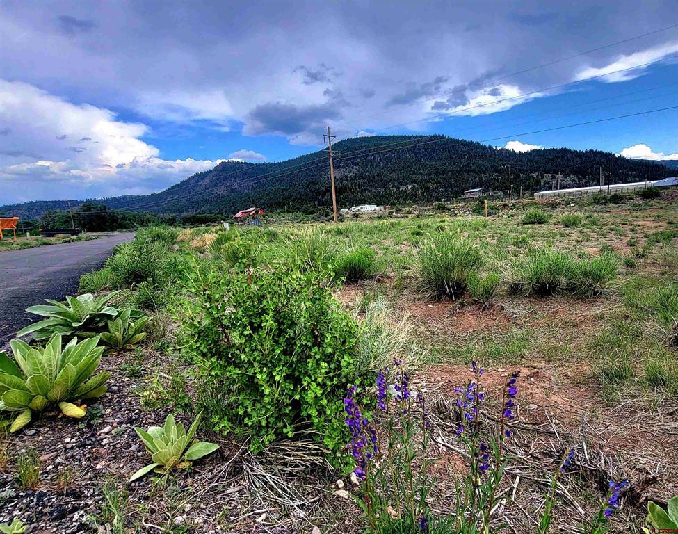 132 Big River Way Lot 8 Property Photo 3