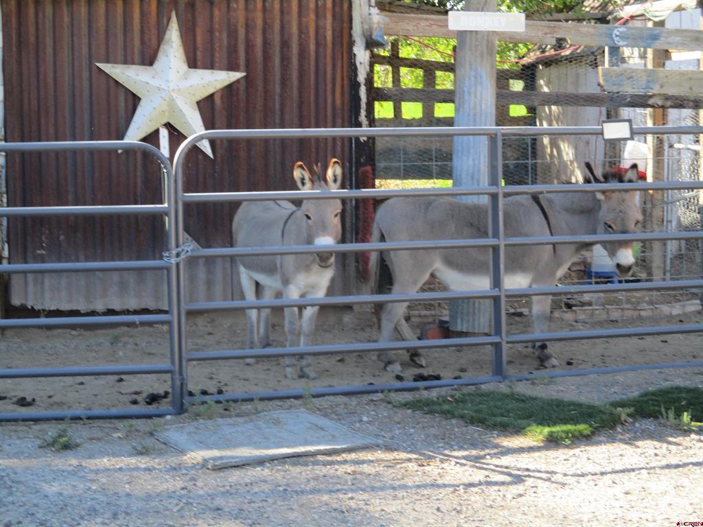 665 1725 Road Property Photo 13