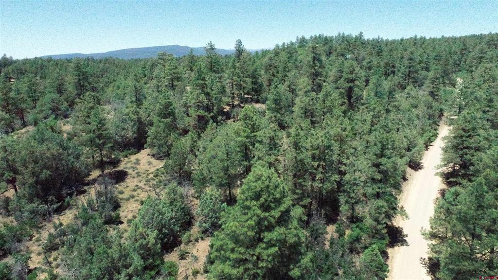 2892 Crooked Road Property Photo