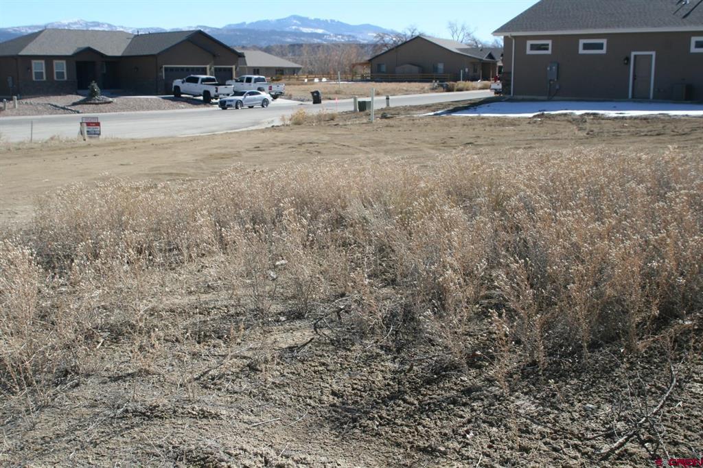 Tbd Mocha Ct Property Photo 5