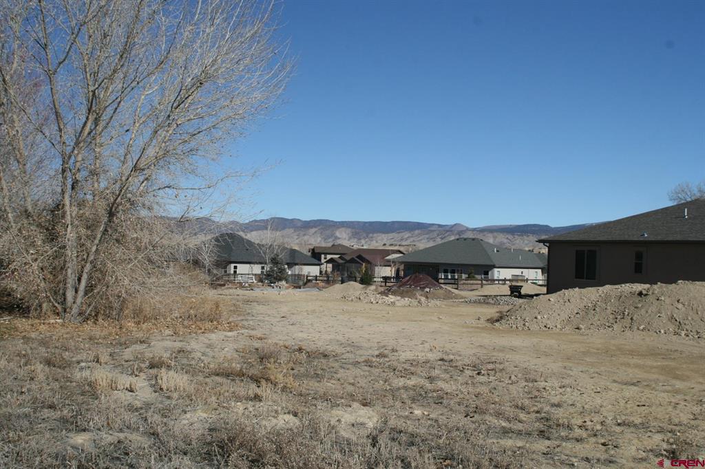 Tbd Mocha Ct Property Photo 6