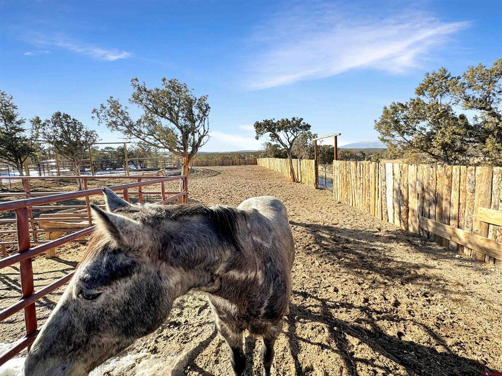 34214 Fruitland Mesa Road Property Photo 31