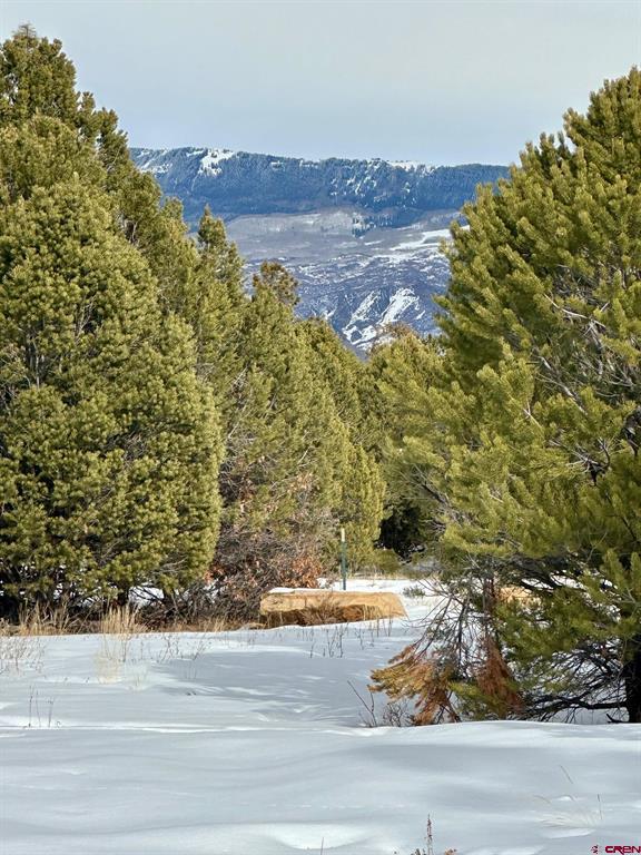 TBD (Lot 533) N Badger Trail Property Photo 1