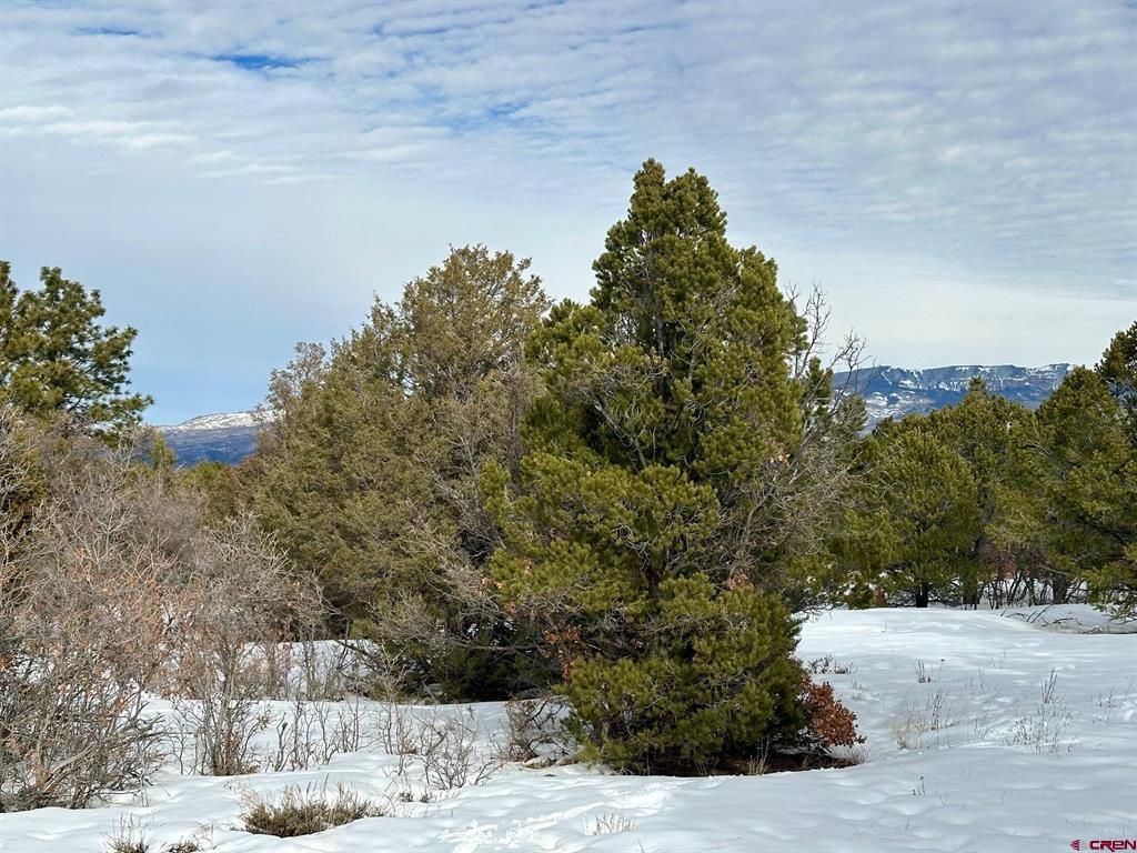 Tbd N Badger Trail Property Photo 5