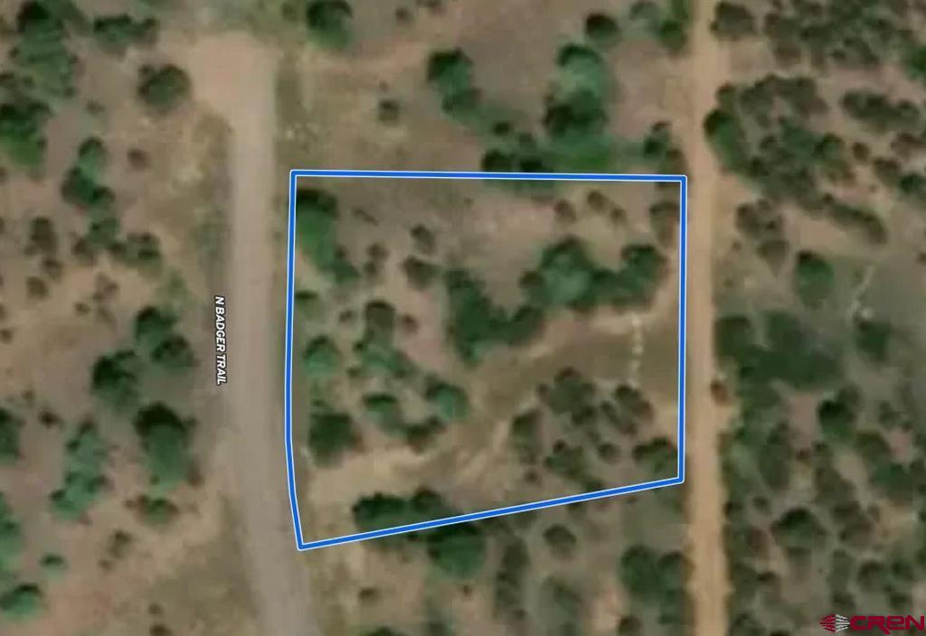 Tbd N Badger Trail Property Photo 6