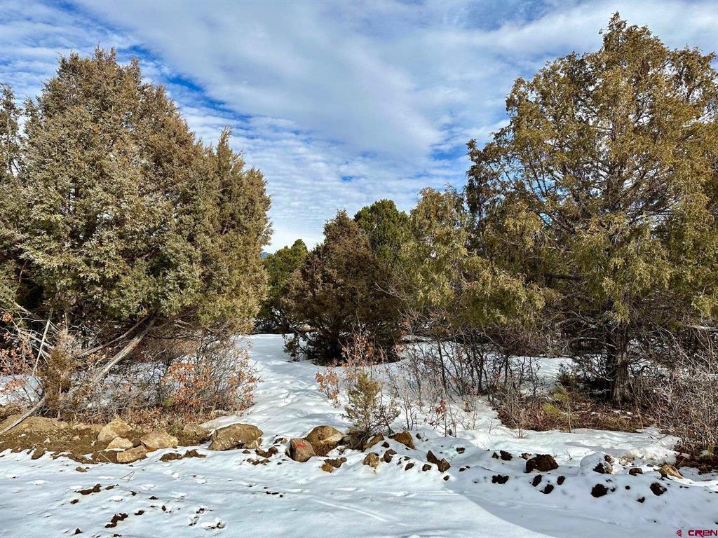 Tbd N Badger Trail Property Photo 7