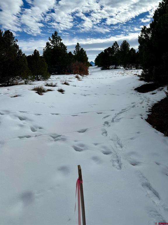 Tbd N Badger Trail Property Photo 8