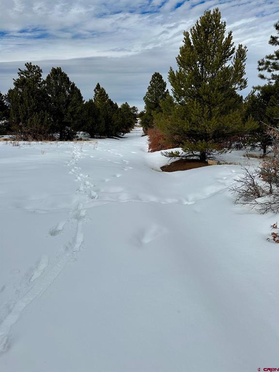 Tbd N Badger Trail Property Photo 9