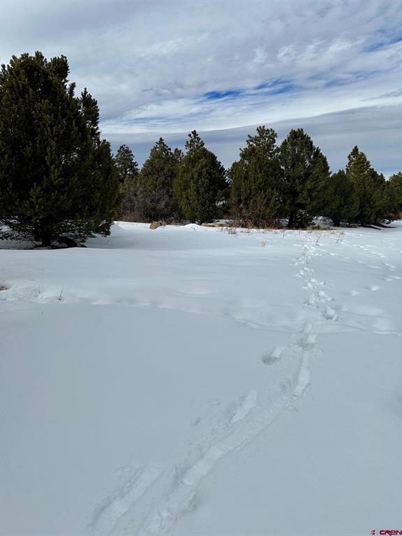 Tbd N Badger Trail Property Photo 10