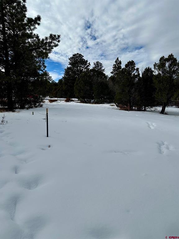 Tbd N Badger Trail Property Photo 11