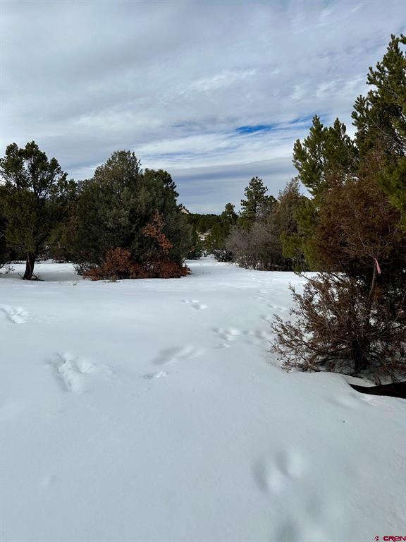 Tbd N Badger Trail Property Photo 12