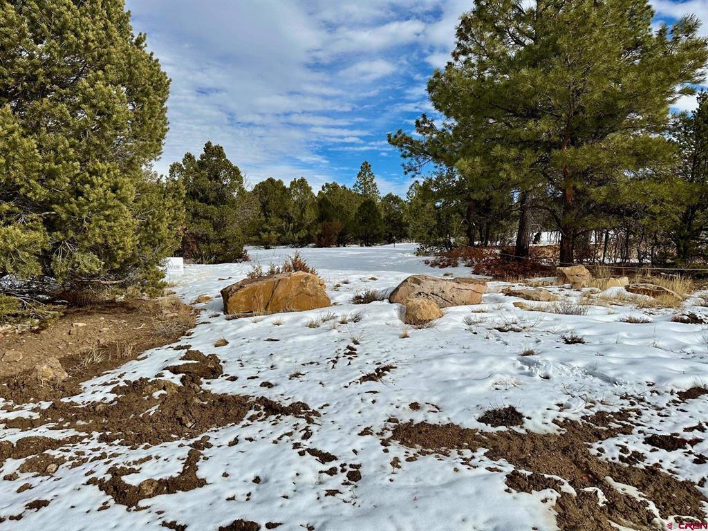 Tbd N Badger Trail Property Photo 13