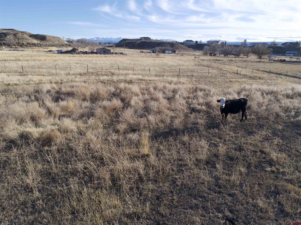 Tract 3 E Oak Grove Road Property Photo 9