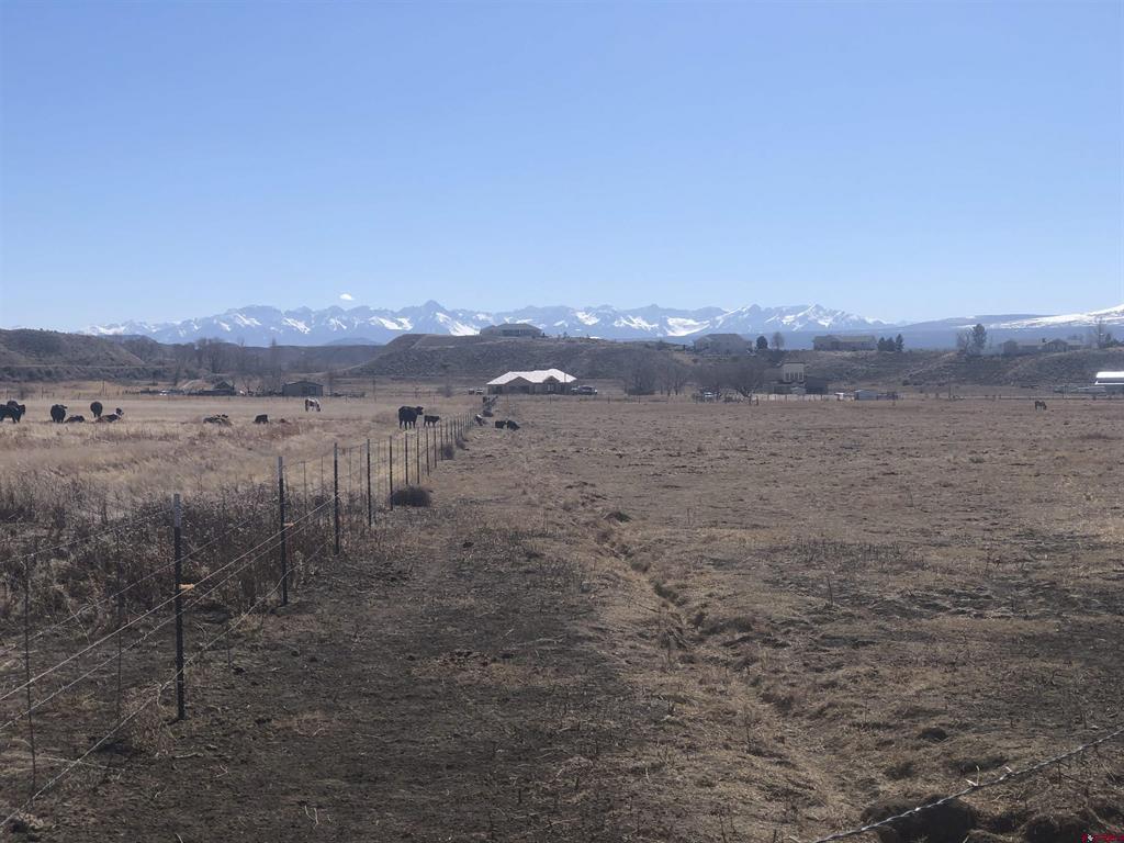 Tract 3 E Oak Grove Road Property Photo 16