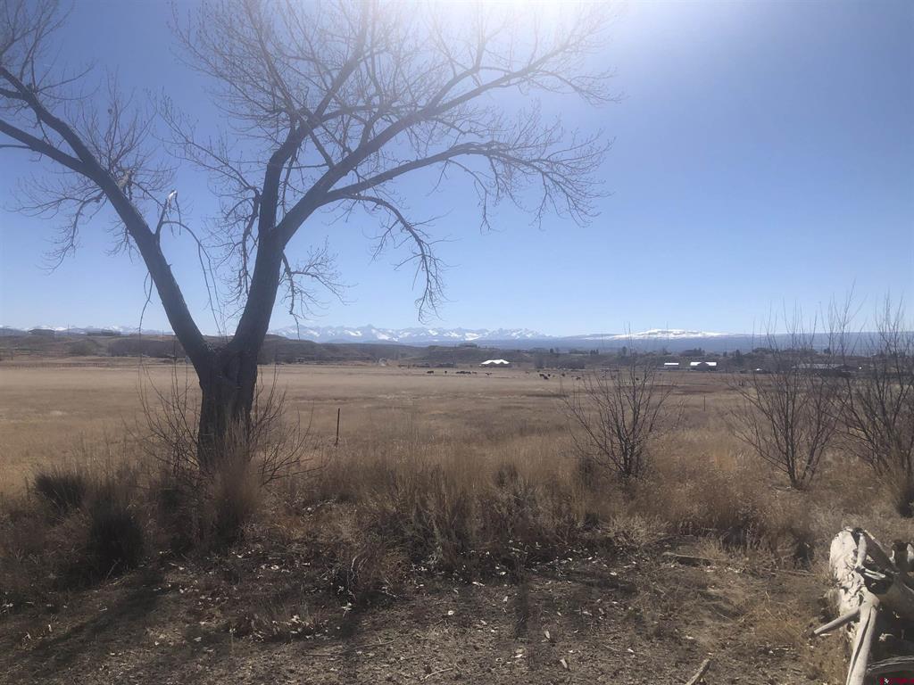 Tract A & 3 E Oak Grove Road Property Photo 4