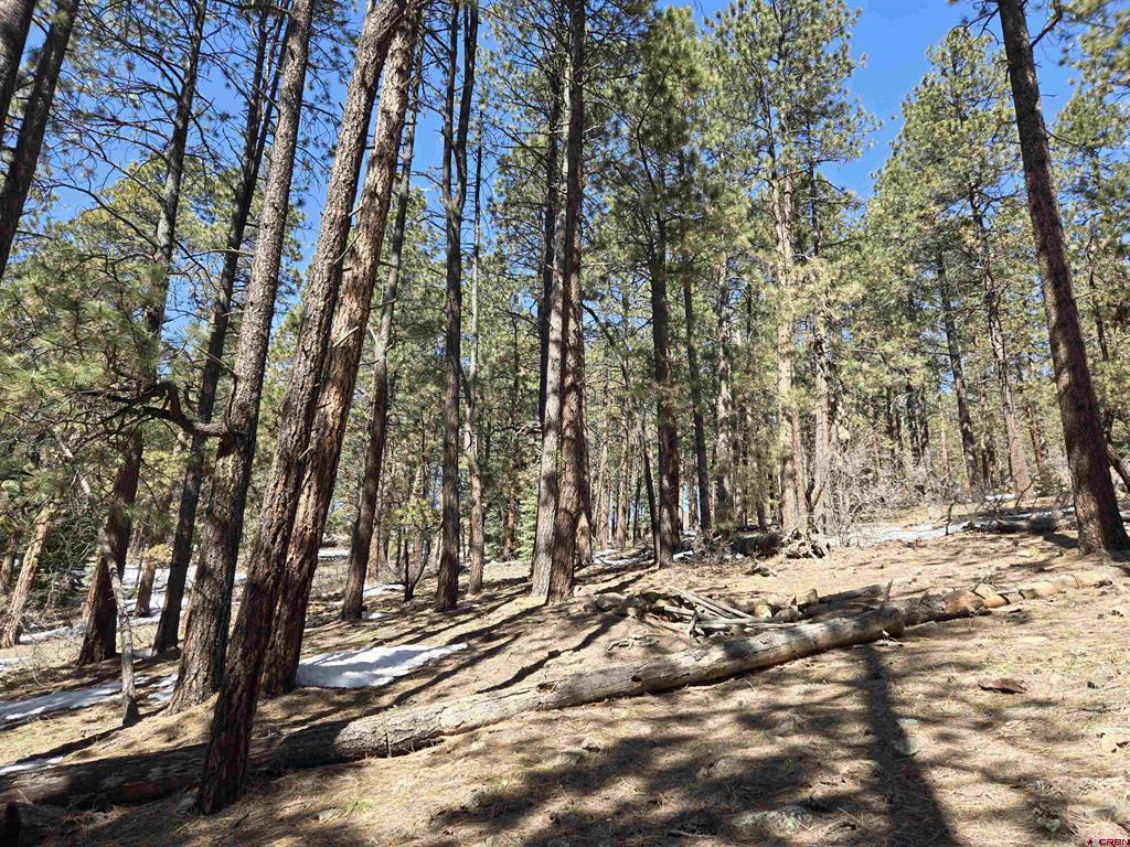 Lot 9 Groves Drive Property Photo 3