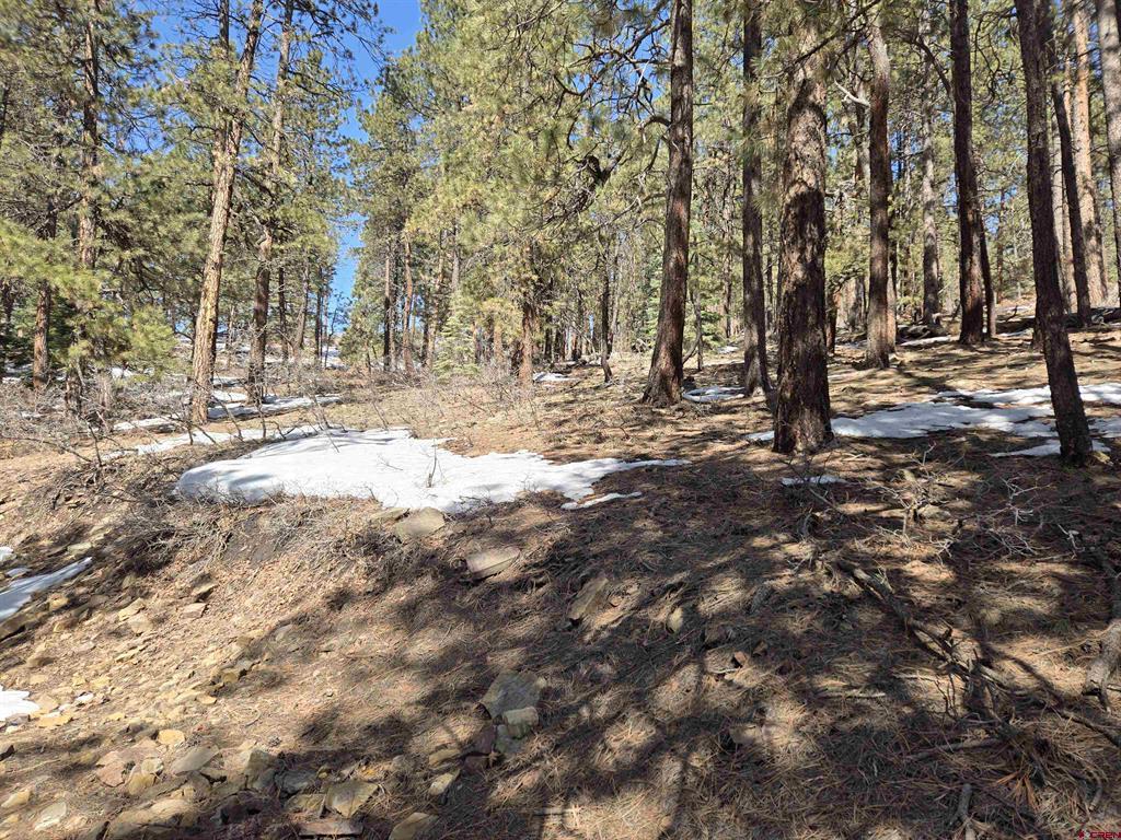 Lot 9 Groves Drive Property Photo 4