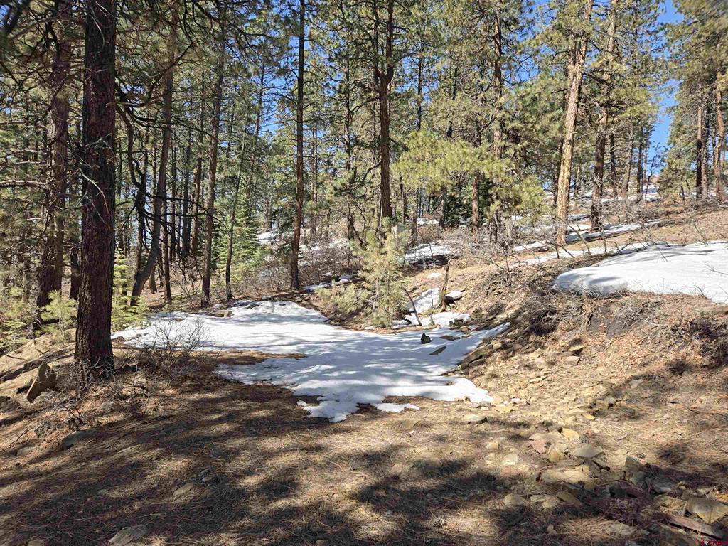 Lot 9 Groves Drive Property Photo 6