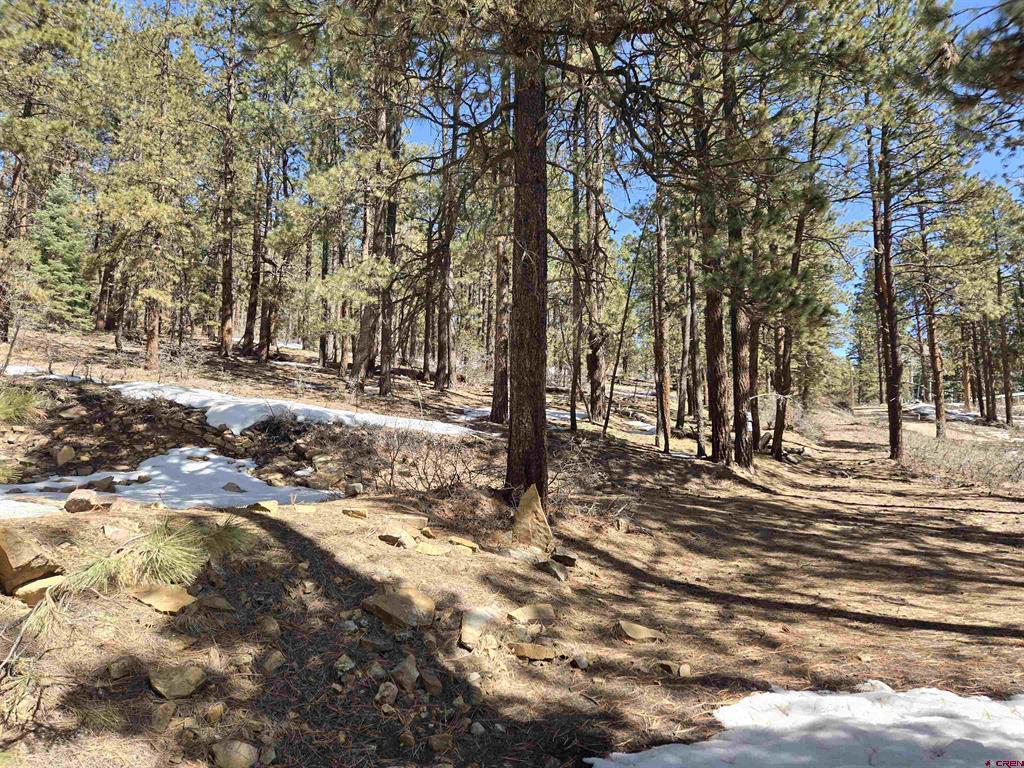 Lot 9 Groves Drive Property Photo 7