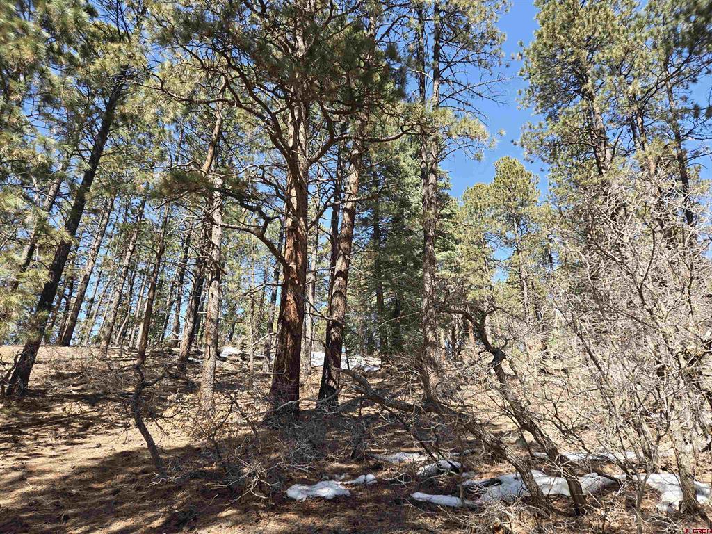 Lot 9 Groves Drive Property Photo 8