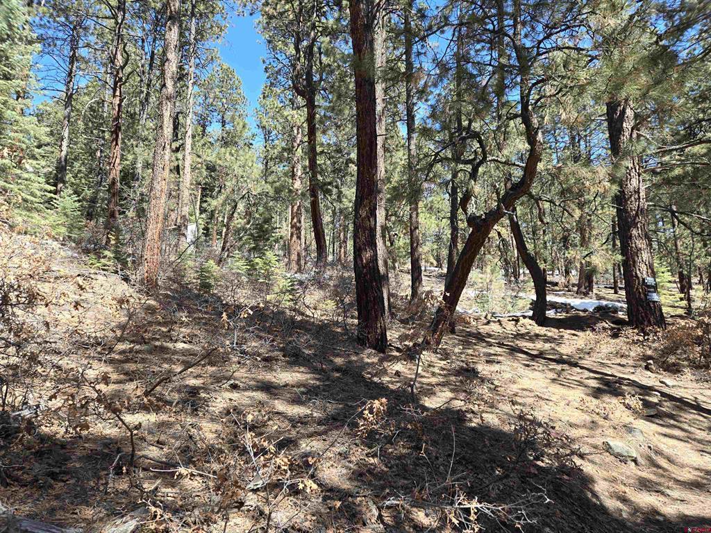 Lot 9 Groves Drive Property Photo 9