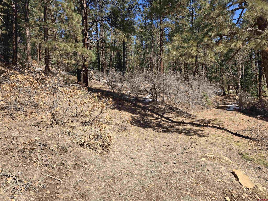 Lot 9 Groves Drive Property Photo 10