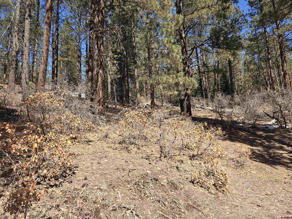 Lot 9 Groves Drive Property Photo 11