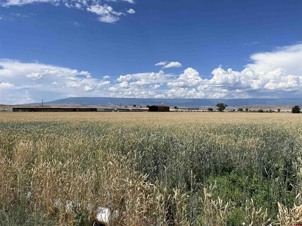 23223 D50 Road Property Photo 11