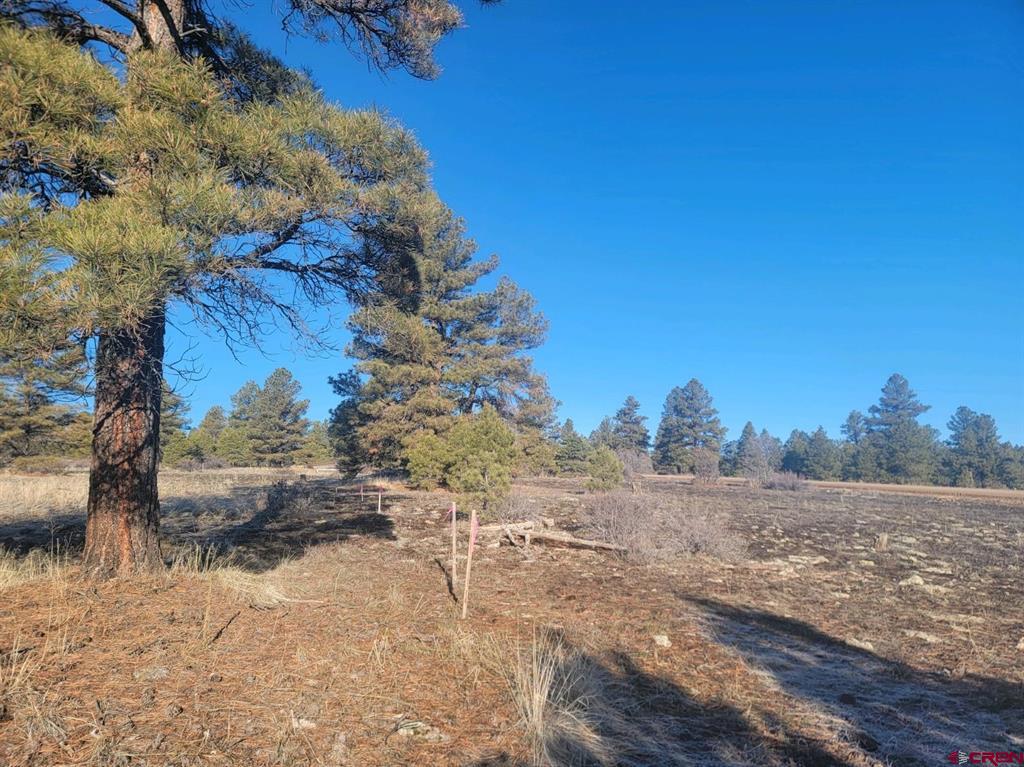176 Landau Property Photo