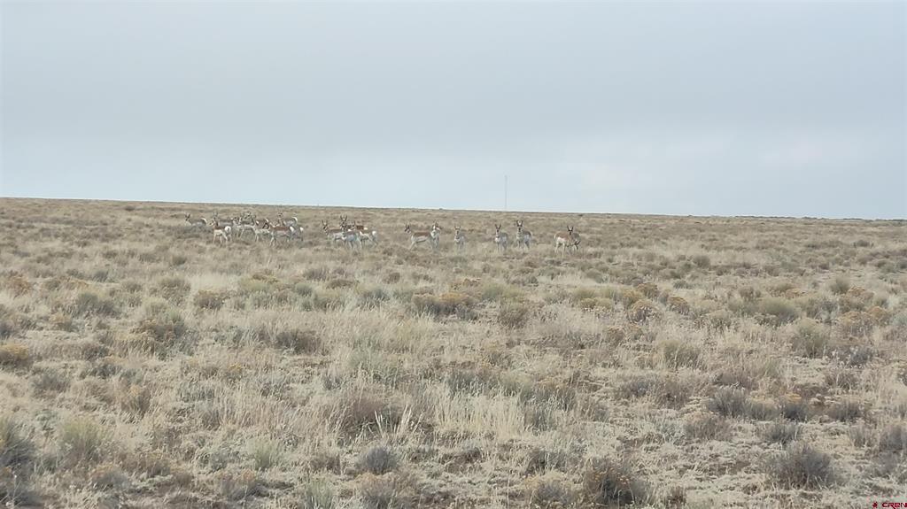 Tbd Co Rd Aa Road Property Photo 14