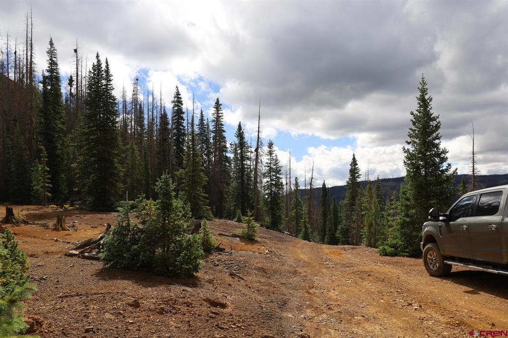 X2 Forest Service Road 380 Property Photo 4