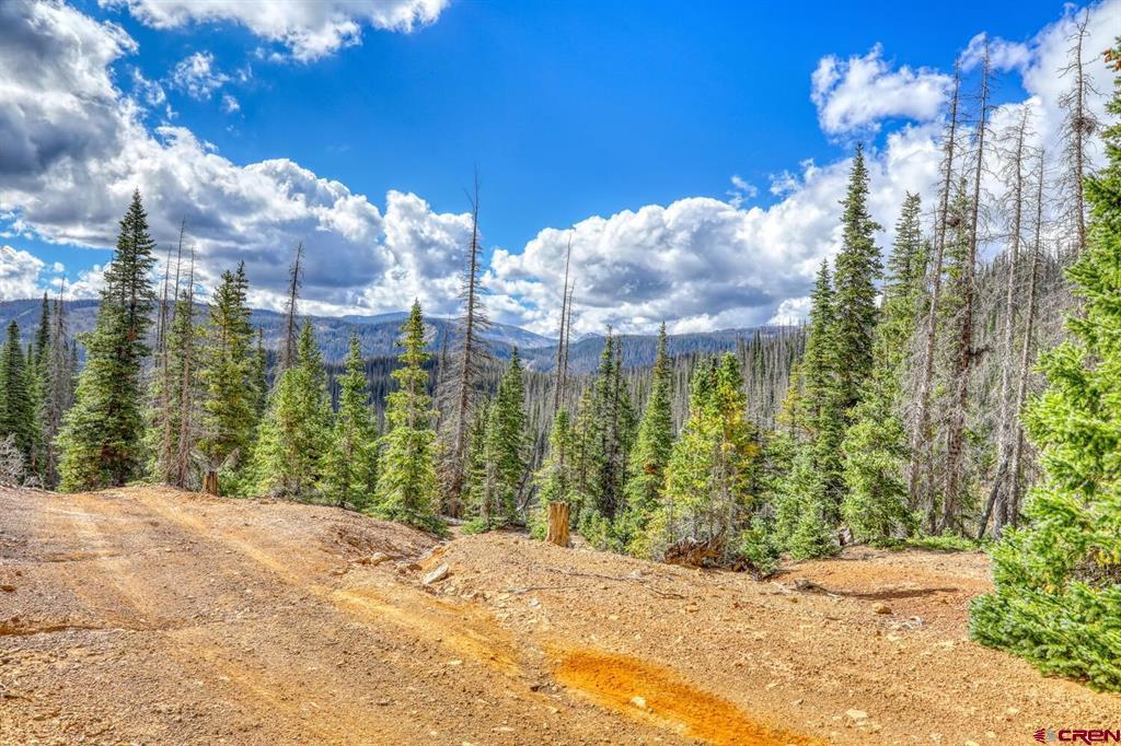 X2 Forest Service Road 380 Property Photo 10