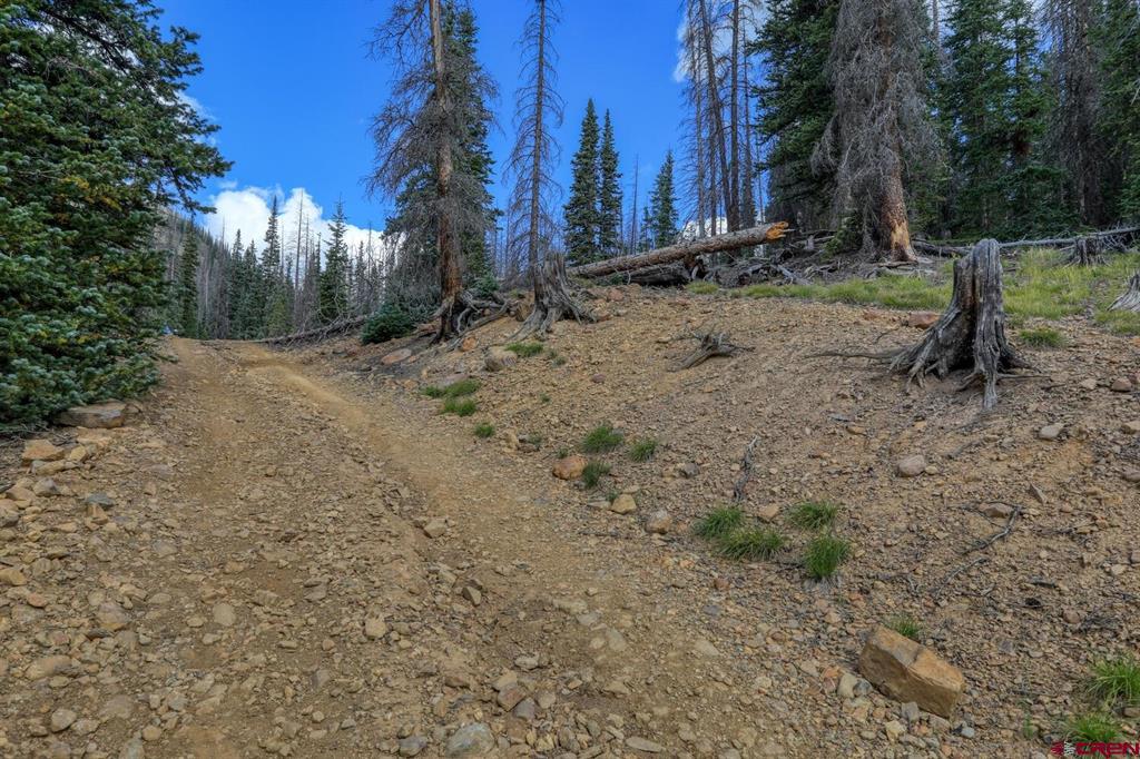 X2 Forest Service Road 380 Property Photo 11