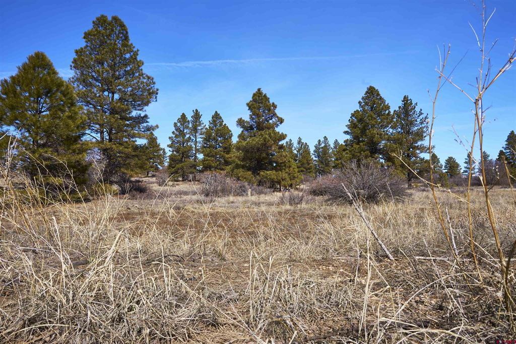 100 High Drive Property Photo
