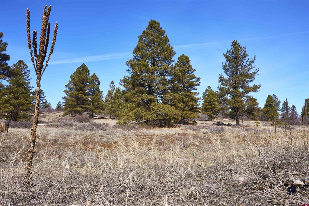 124 High Drive Property Photo