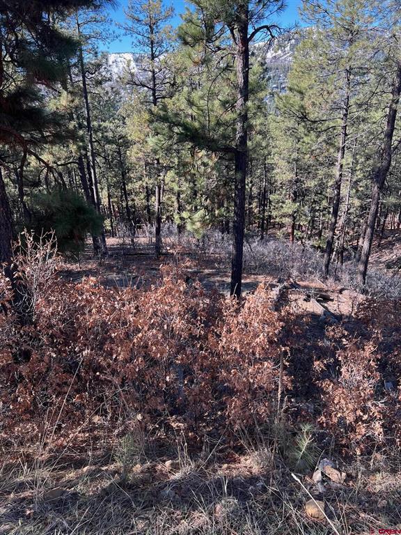 238 Deer Ridge Drive Property Photo 1