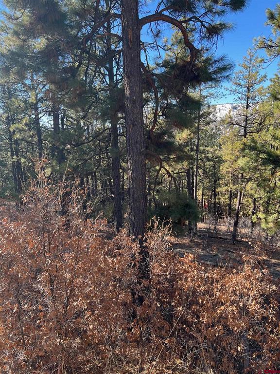 238 Deer Ridge Drive Property Photo 3