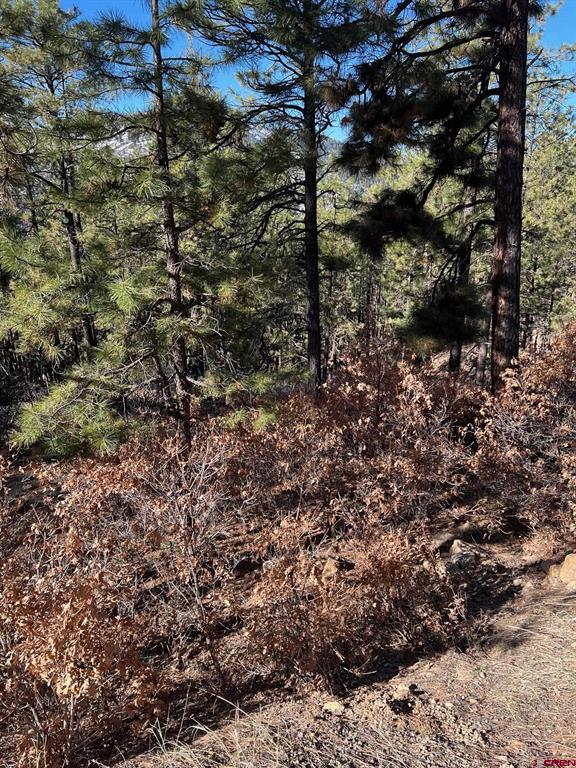 238 Deer Ridge Drive Property Photo 4