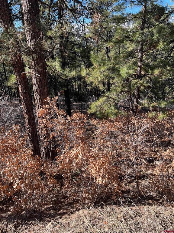 238 Deer Ridge Drive Property Photo 5
