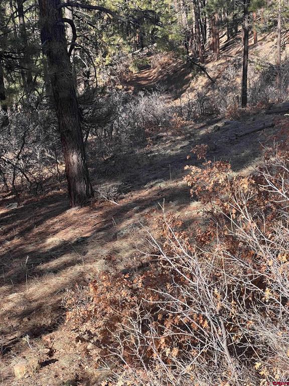 238 Deer Ridge Drive Property Photo 6