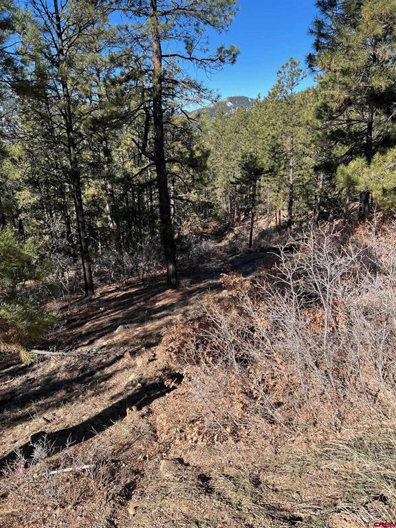 238 Deer Ridge Drive Property Photo 7