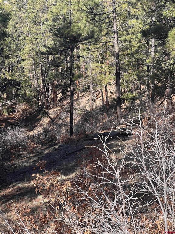 238 Deer Ridge Drive Property Photo 8
