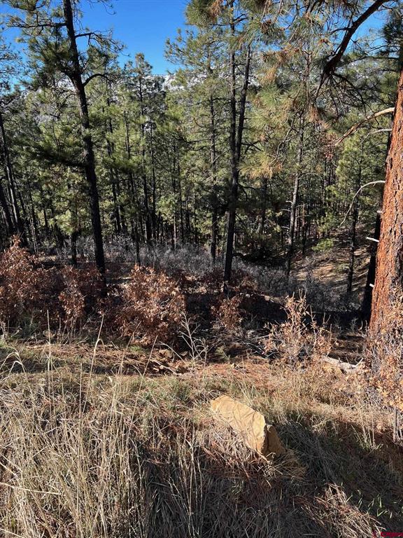 238 Deer Ridge Drive Property Photo 10